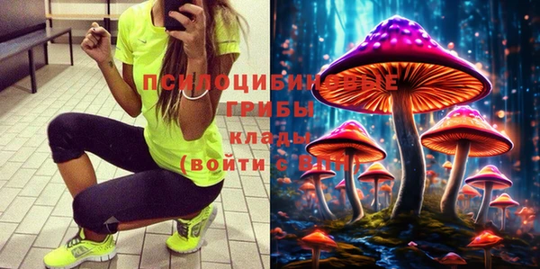 дживик Арсеньев