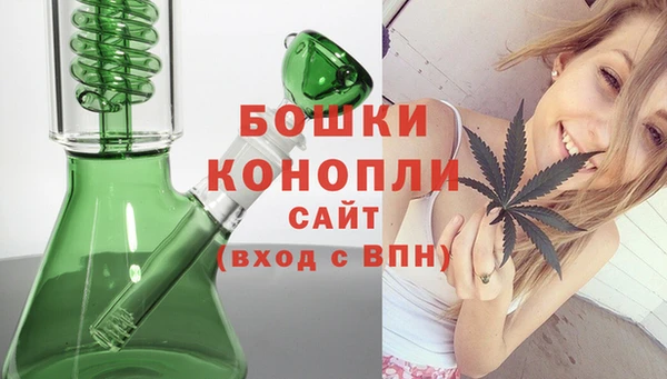 дживик Арсеньев