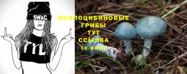 дживик Арсеньев
