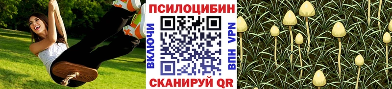 Псилоцибиновые грибы мухоморы  что такое   Нязепетровск 